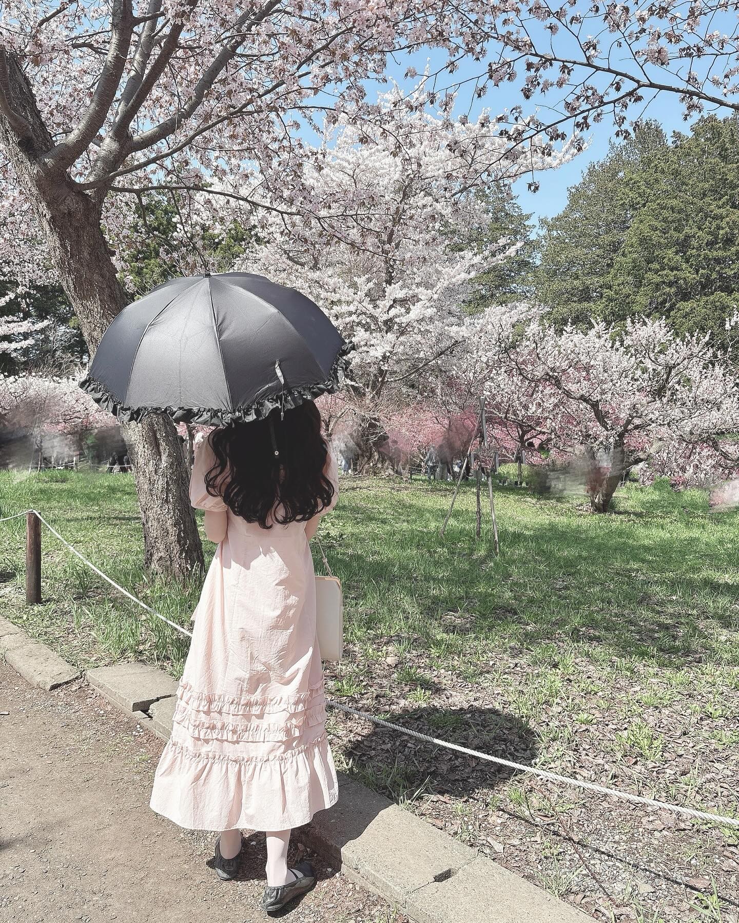momona__mさんのブラックの日傘の使用画像