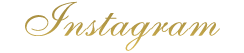 Campaign