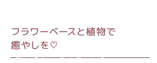 イルミネーションで幻想的に