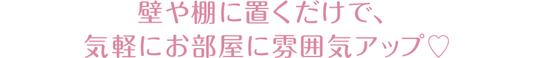 壁や棚に置くだけで、気軽にお部屋に雰囲気アップ♥