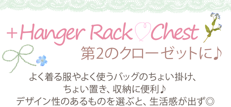 ＋ハンガーラック・プチプラチェスト第2のクローゼットに♪