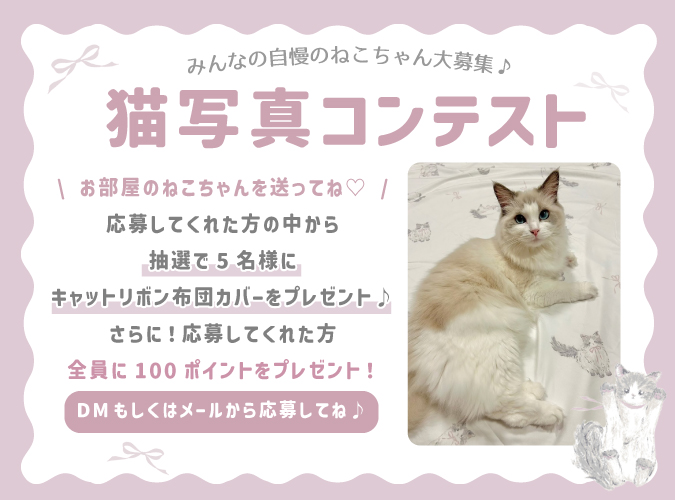 猫写真コンテスト