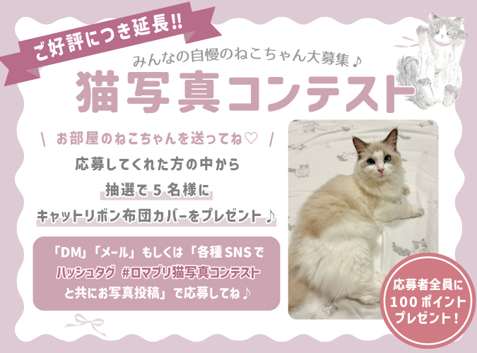 猫写真コンテスト