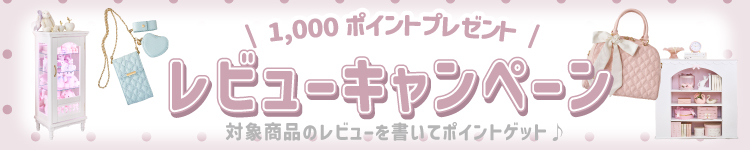 レビューキャンペーン
